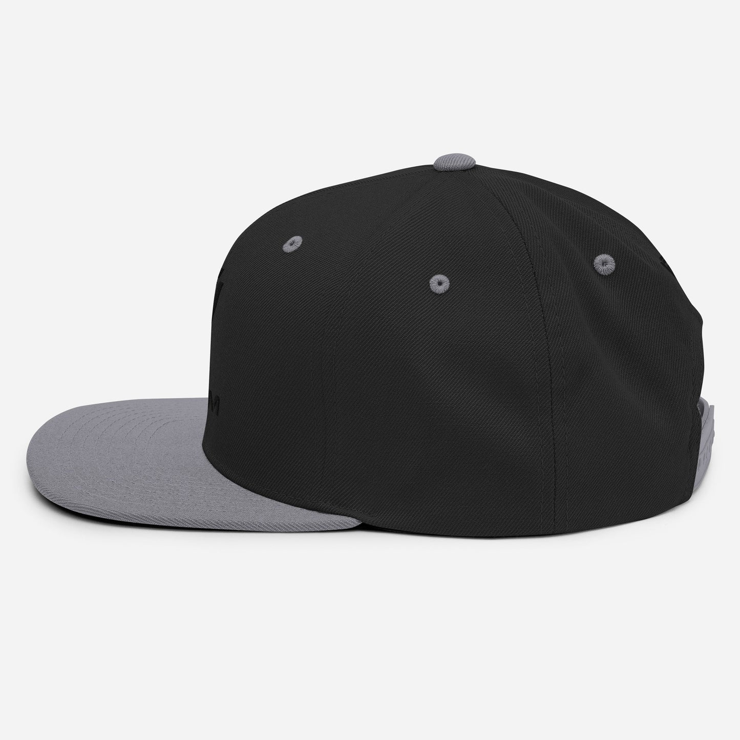 Snapback Black & Gray Cap Hat with Dynem® Logo