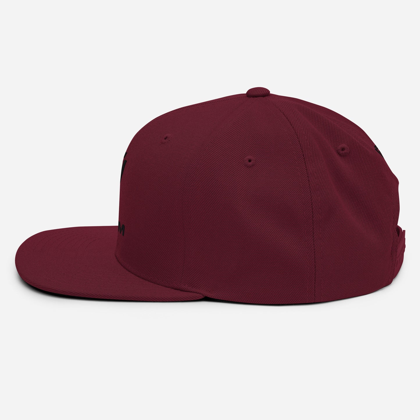 Snapback Hat with Dynem® Logo